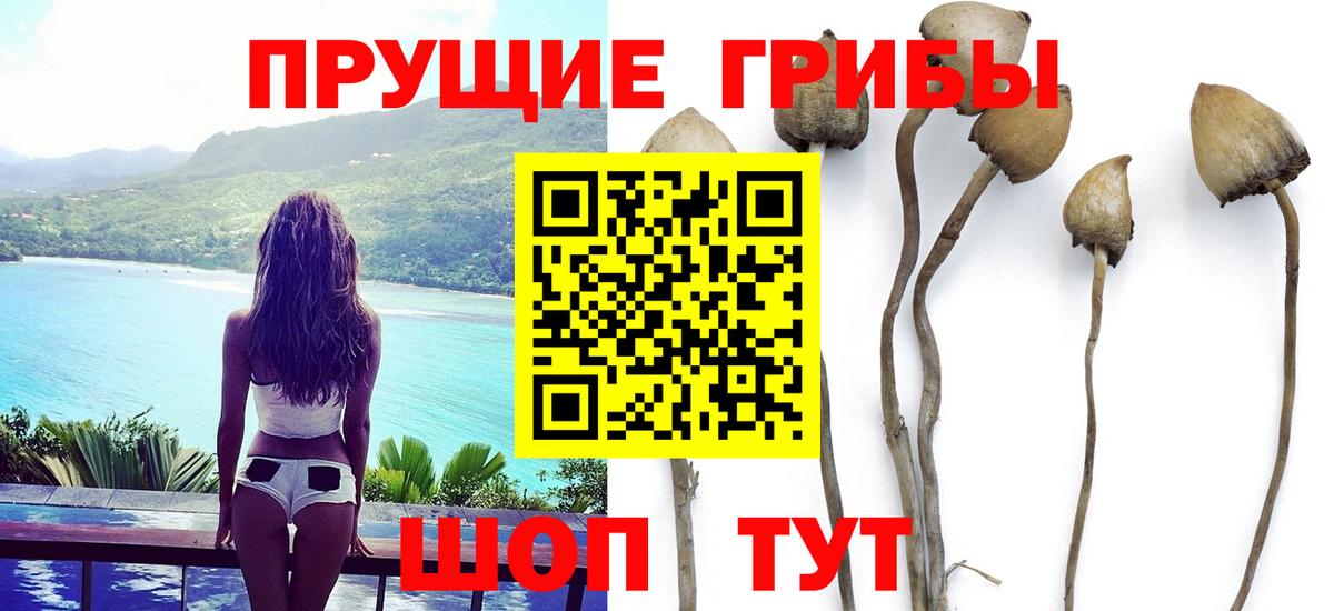 Псилоцибиновые грибы мицелий  Галлюциногенные грибы ЛСД  Вход с VPN  Сыктывкар 